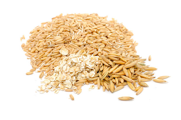 conjunto desenrolada, unpeeled e aveia trilhada - oat whole wheat cereal plant oat flake imagens e fotografias de stock