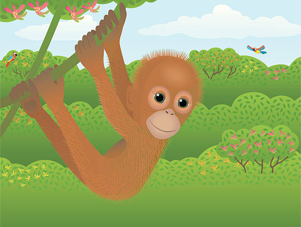 ilustraciones, imágenes clip art, dibujos animados e iconos de stock de young orang-utan con fondo de la selva. - geschützt