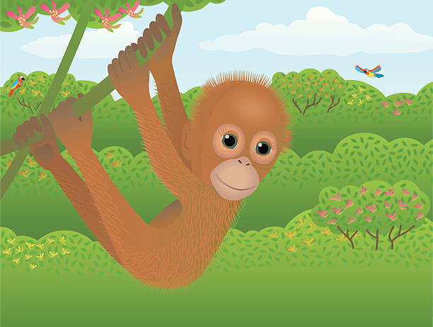 ilustrações de stock, clip art, desenhos animados e ícones de jovem orang-utan com fundo da selva. - geschützt