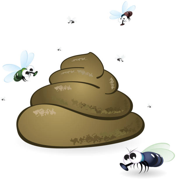 Cartoon feces and flies. Cartoon feces and flies. Illustration on white background Shit Fly stock illustrations