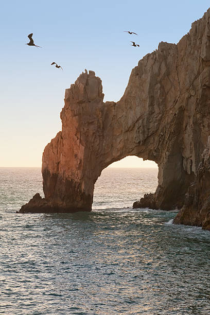istock The Arch in Cabo San Lucas, Mexico 154237479