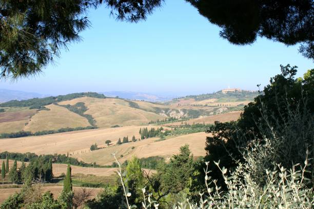 istock Overview of Val d'Orcia Toscana Italy 1542380388