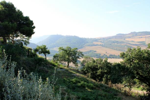 istock Overview of Val d'Orcia 1542381439