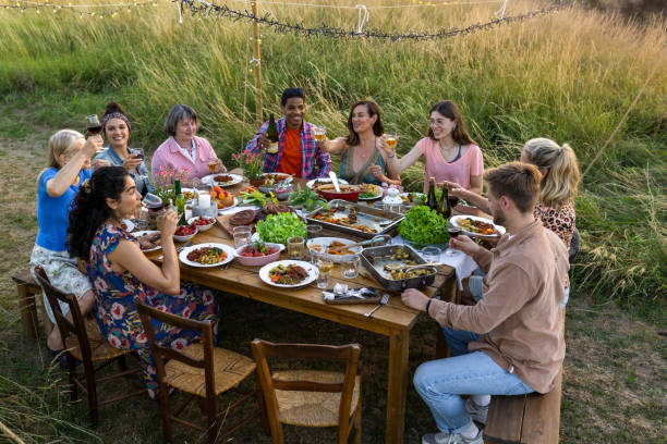 Cheers Everyone An elevated image of a group of friends sitting at a laden dining table out in a field on a summers evening, they are toasting each other. The mother is visually impaired. There is tall grass behind them. big family sunset stock pictures, royalty-free photos & images