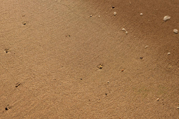 Beach sand, wet sea sand, sandy beach by the sea