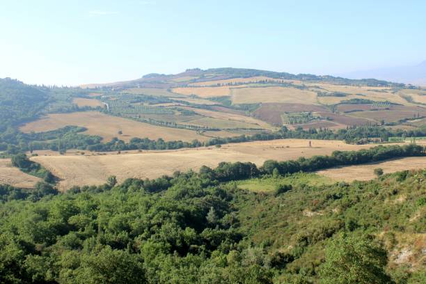 istock Overview of Val d'Orcia 1542390911