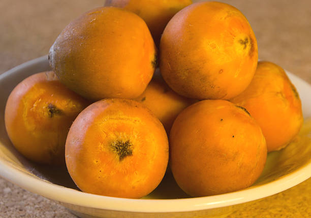오렌지 컬러의 팜형 나무 후르트 스톡 사진