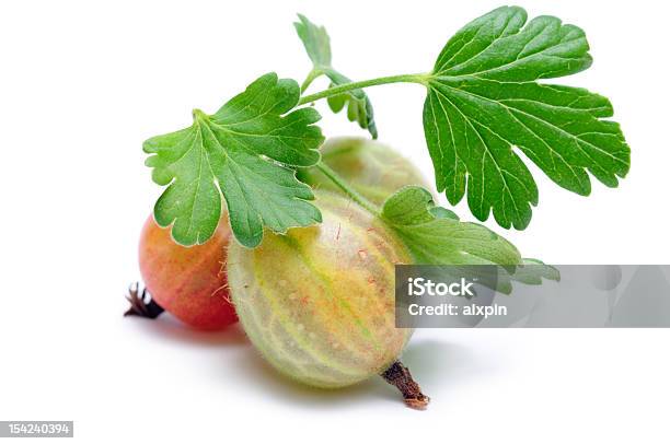 Grosella Espinosa Europea Foto de stock y más banco de imágenes de Alimento - Alimento, Fondo blanco, Fotografía - Imágenes