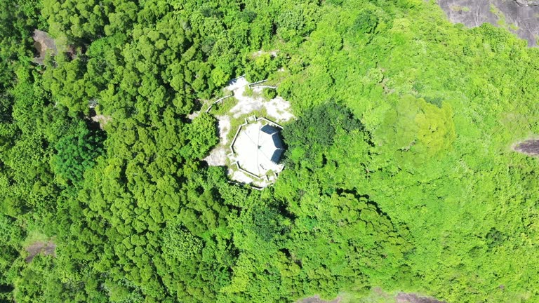 A bird's-eye view of a beautiful island on the sea