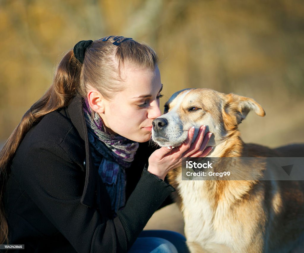 young woman with dog young woman with dog outdoor Adolescence Stock Photo