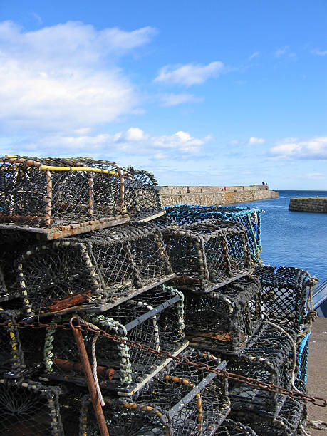 istock Crab or lobster pots stacked on a harbour side 154243753