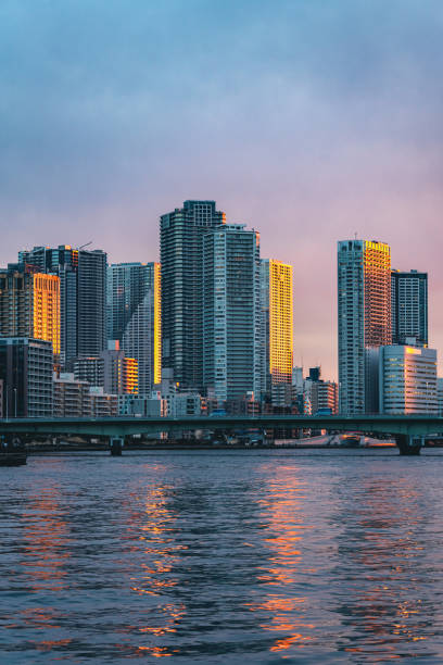 istock Sumida river and high-rise buildings in Tokyo 1542441486