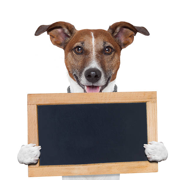 istock placeholder banner dog 154245091
