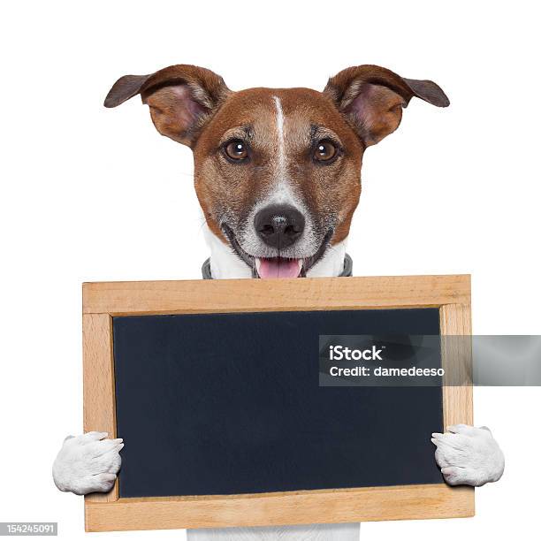 Marcador De Banner Cão - Fotografias de stock e mais imagens de Jack Russell Terrier - Jack Russell Terrier, Animal, Animal de Estimação