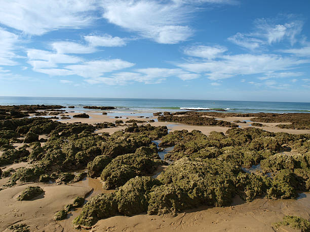 istock Algarve coast at low tide the ocean 154245422