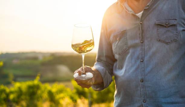 wine producer mane tasting the product after harvest and grape fermentation process - vinification, organic quality product and small business concept - main focus on glass - vinery imagens e fotografias de stock