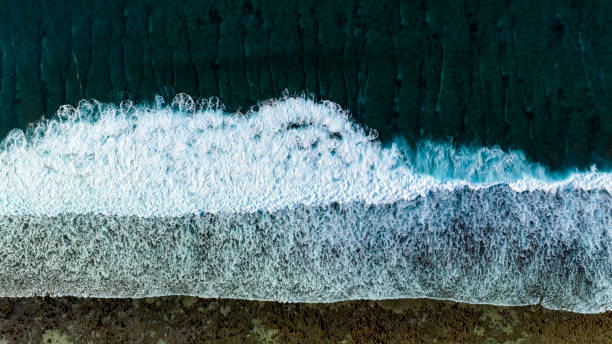 istock Wave water in the Tropical summer beach with white sand beach background 1542458337