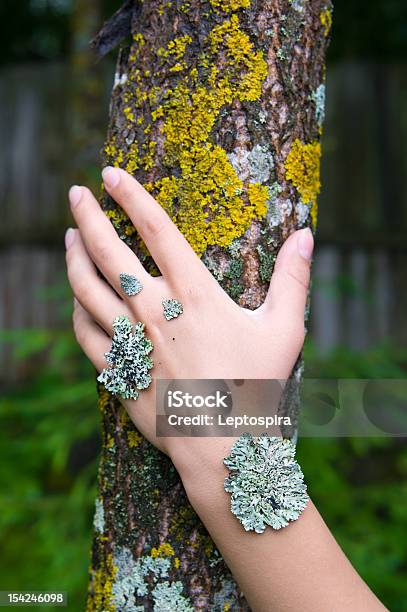 Líquen Na Mão - Fotografias de stock e mais imagens de Adulto - Adulto, Alegoria, Ao Ar Livre