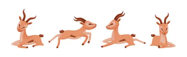Vector illustration of African Wild Gazelle with Long Horns and Hoofs Vector Set