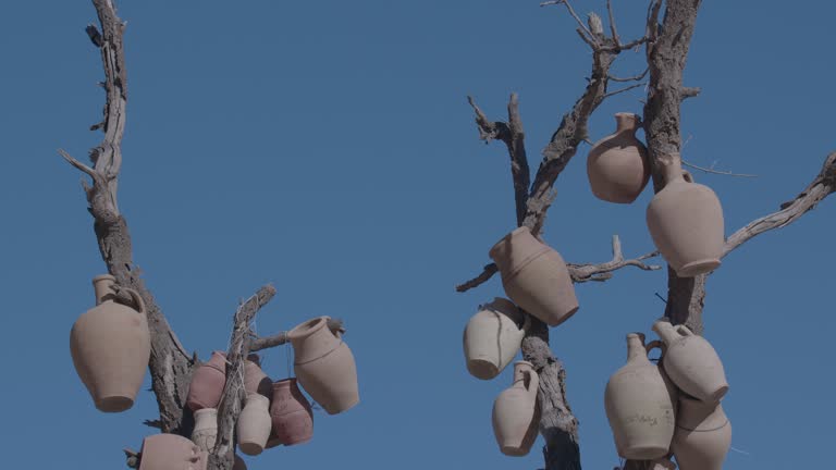 Authentic Oriental Jugs On A Tree