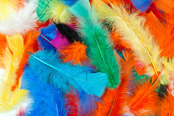 istock background of colored feathers 154250692