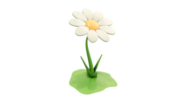 bela margarida branca (marguerite) com um pouco de steble, isolada no fundo branco. 3d render flor margarida colorida. elementos da natureza isolados no fundo branco. renderização 3d - daisy marguerite deep focus flower - fotografias e filmes do acervo