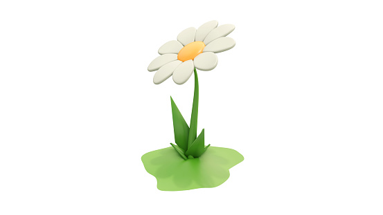 Beautiful white Daisy (Marguerite) with a little steble, isolated on white background. 3d render colorful daisy flower. Nature elements isolated on white background. 3d rendering