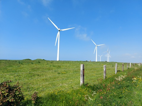wind turbines in a meadow