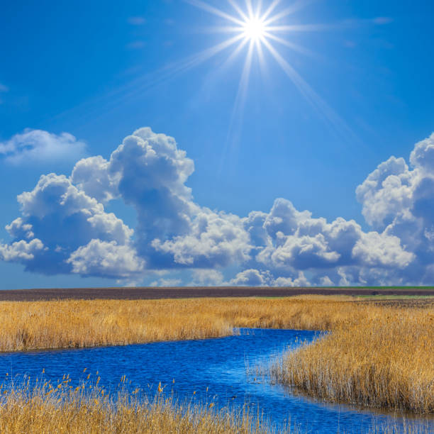 small calm blue river at the sunny day