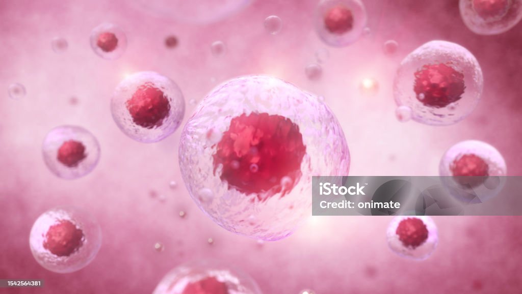 Cell Microscope 3d Stem Cells Seen Under A Scanning Microscope 3d Rendering Stock Photo ...
