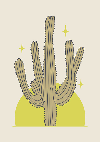 Cactus illustration wild west night and moon desert poster. Sahuaro plant with full moon vector line art minimalist art print