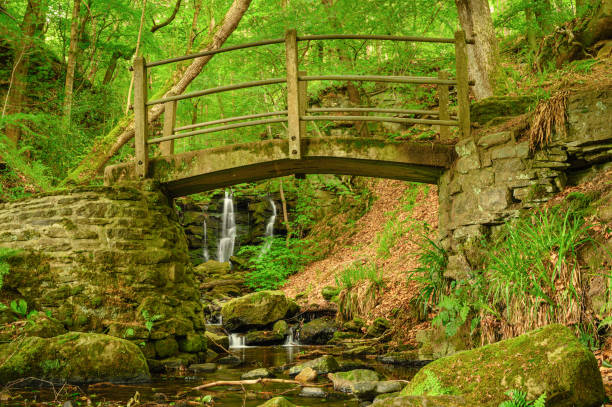 istock Footbridge and Wharnley Burn Falls 1542565434