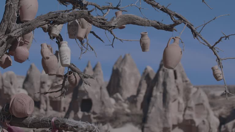 Authentic Oriental Jugs On A Tree