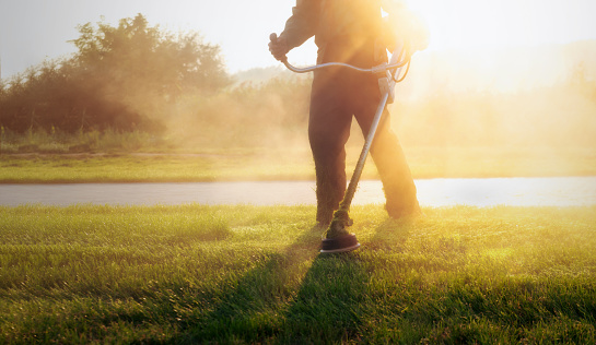 Close-up shot of municipal worker holding a lawnmower, trimming the grass in a public park during a vibrant sunrise. Maintaining the lawn at dawn with dramatic sunshine.