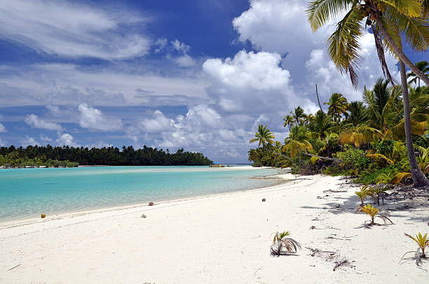 istock Beach and palm trees - Aitutaki Lagoon, Cook Islands 154257318