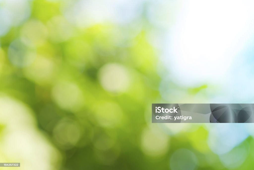 spring blurred background in green colors blurred background in spring green and blue colors, the bokeh effect Abstract Stock Photo
