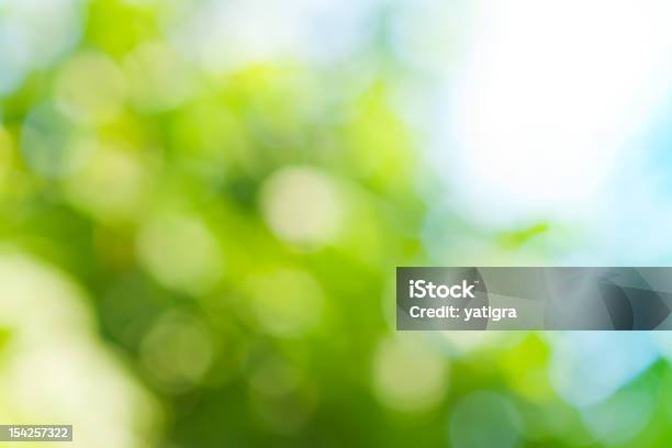Spring Blurred Background In Green Colors Stock Photo - Download Image Now - Abstract, Backgrounds, Beauty In Nature