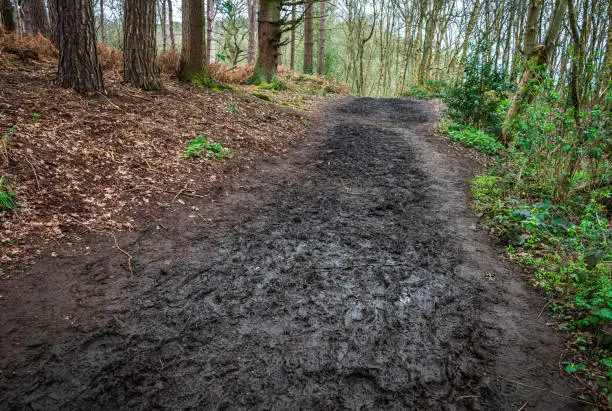 Muddy footpath on a hillslope in a forest in early Spring