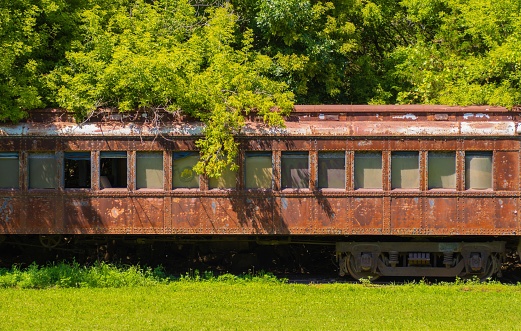 An old abandoned bus left to rust in a summer meadow surrounded by dense forest.