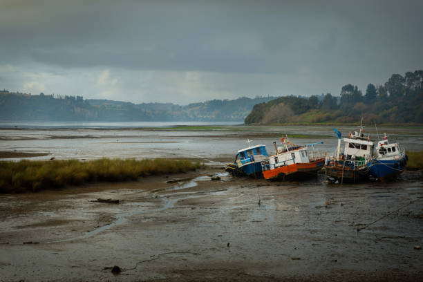 Beautiful Waterfront Landscape in Chile Beautiful Waterfront Landscape in Chile, Chiloé Island low tide stock pictures, royalty-free photos & images