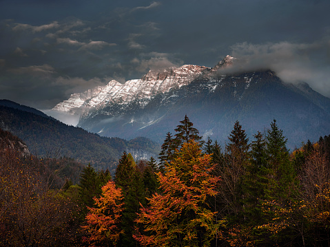 Autumn season with snowcapped mountains in Slovenia. Photographed in medium format.