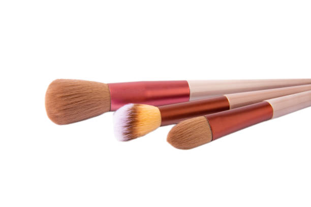 Cosmetic makeup brush isolated on white background. Blush, eyeshadow  contour, foundation, concealer  bronzer, angled brushes. Makeup set. Beauty concept.