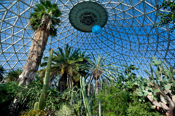 熱帯温室 - large dome ストックフォトと画像