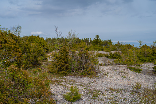 Kassari Landscape Protection area - naturally beautiful and diverse area in the southeastern part of Hiiumaa Island, Hiiumaa, Estonia.
