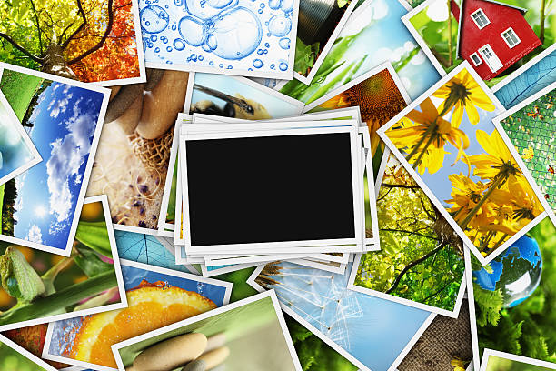 istock Collection of photos with an empty photo 154267826