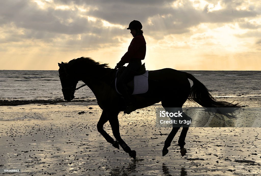 Silhueta de um cavalo e cavaleiro Cantering na praia - Foto de stock de Adulto royalty-free