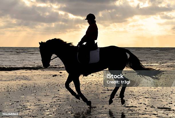 Foto de Silhueta De Um Cavalo E Cavaleiro Cantering Na Praia e mais fotos de stock de Adulto