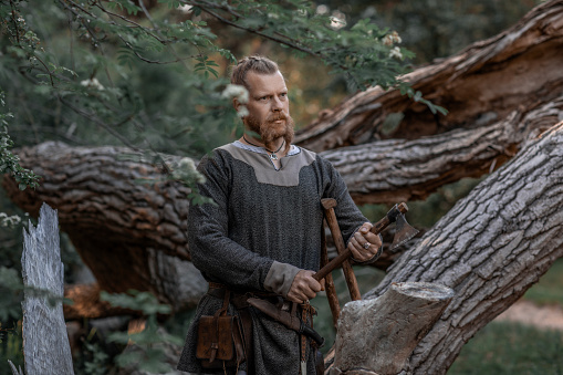 Handsome weapon wielding viking warrior outdoors in a forest scene in the morning sun