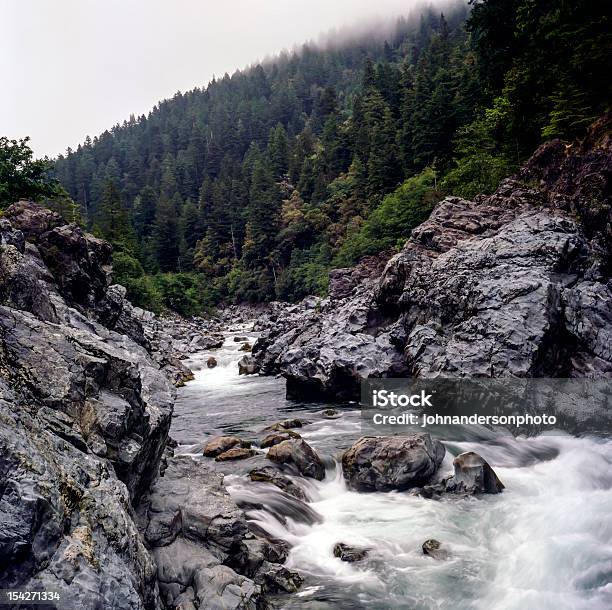 Smith River Stockfoto und mehr Bilder von Baum - Baum, Fels, Fluss