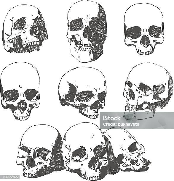 Doodled Skulls - Stockowe grafiki wektorowe i więcej obrazów Czaszka człowieka - Czaszka człowieka, Grafika wektorowa, Grób